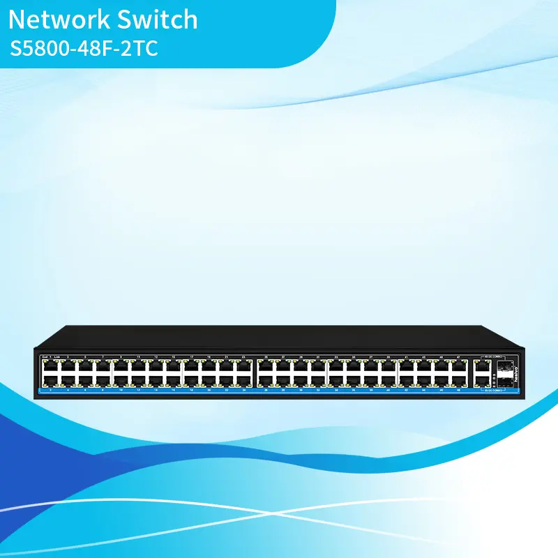 48+2 Fast Ethernet Switch